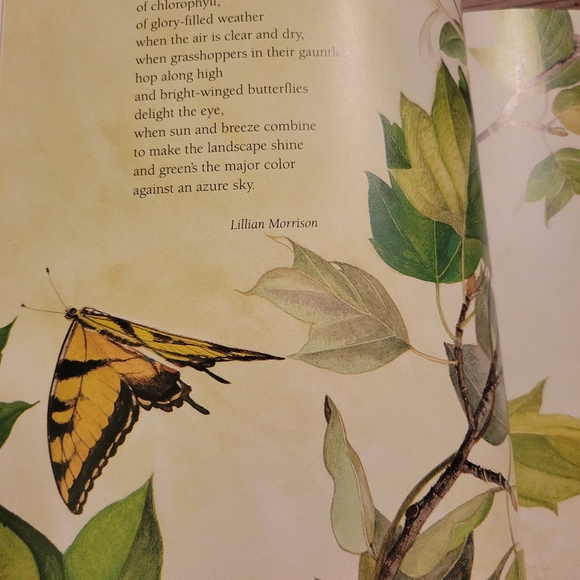 The Earth is Painted Green; A Garden of Poems About Our Planet - Picture 3 of 7